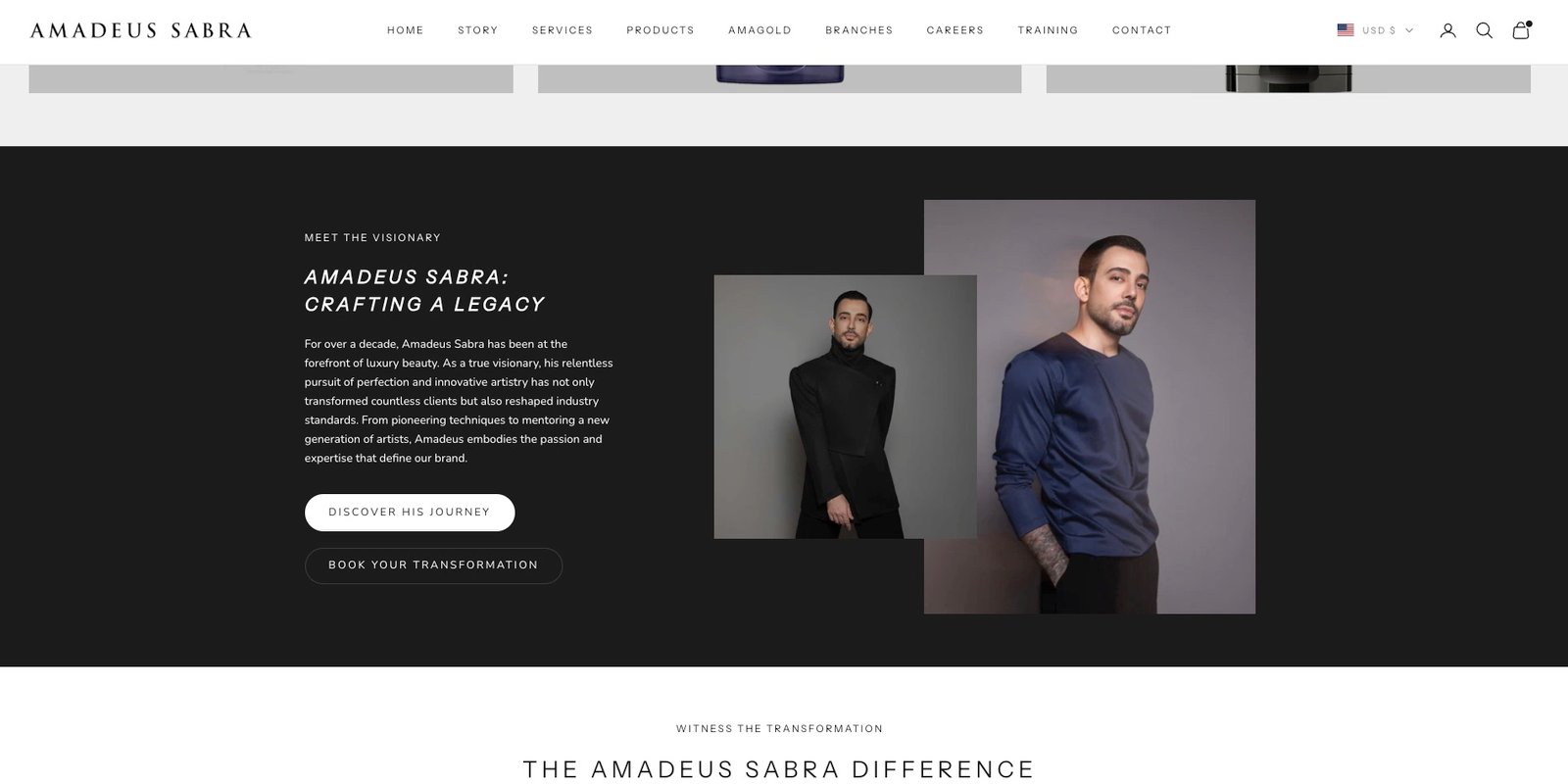 The About the Artist section