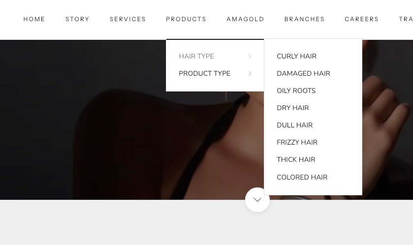 The main navigation menu with product categories