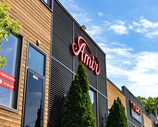 Amir food photography — wraps, salads, and detail shots