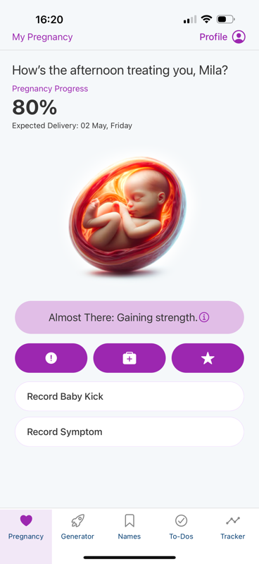 The main app dashboard