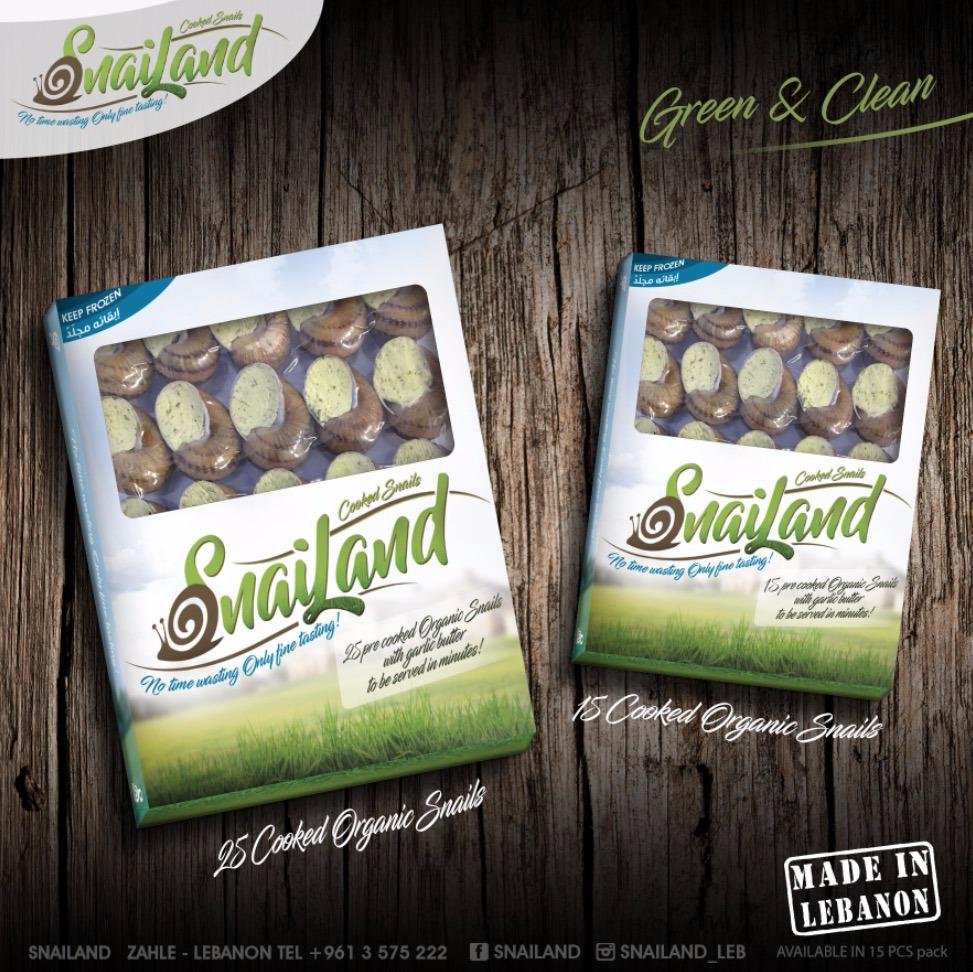 3D render of the SnailLand product packaging