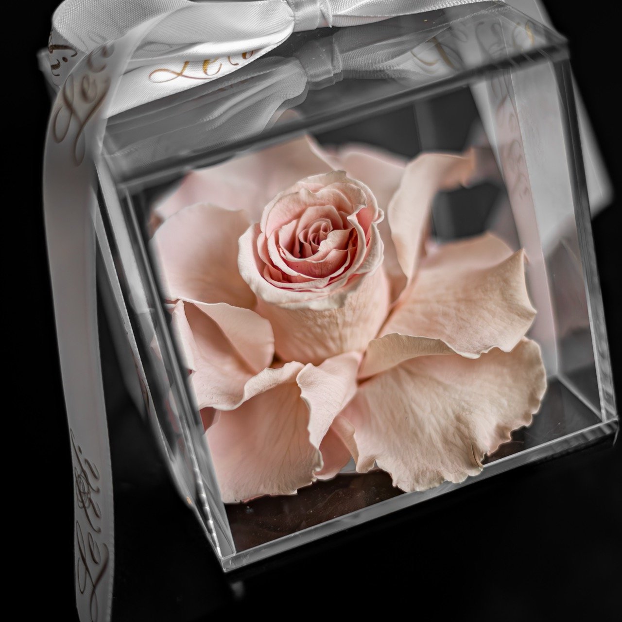 Preserved roses in a box