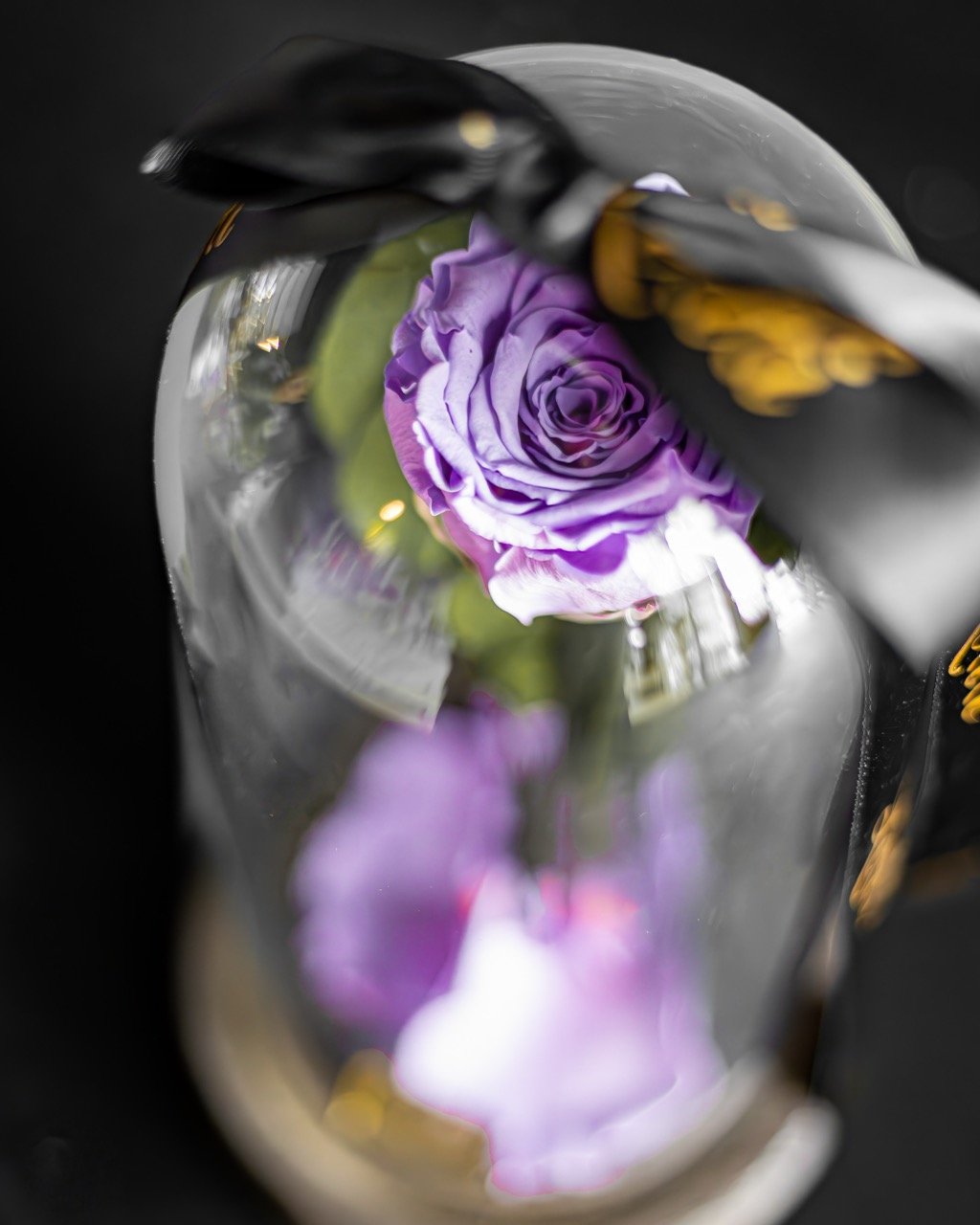 Still life of purple flowers